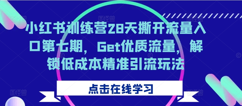 小红书训练营28天撕开流量入口第七期，Get优质流量，解锁低成本精准引流玩法-星火轻创