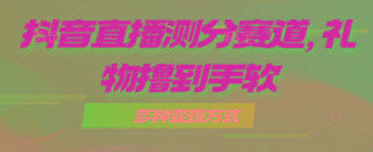 抖音直播测分赛道，多种变现方式，轻松日入1000+-星火轻创