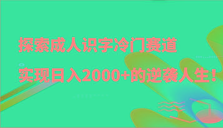 探索成人识字冷门赛道，实现日入2000+的逆袭人生！-星火轻创