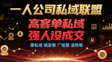 一人公司私域联盟，高客单私域，强人设成交，建私域 搞发售 广结盟 造势能-星火轻创