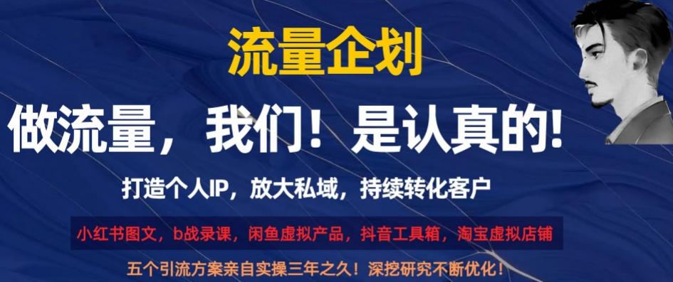 流量企划，打造个人IP，放大私域，持续转化客户【揭秘】-星火轻创