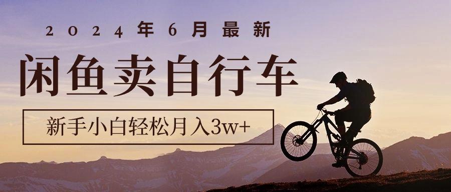 2024年6月最新闲鱼卖自行车，新手小白轻松月入3w+项目-星火轻创