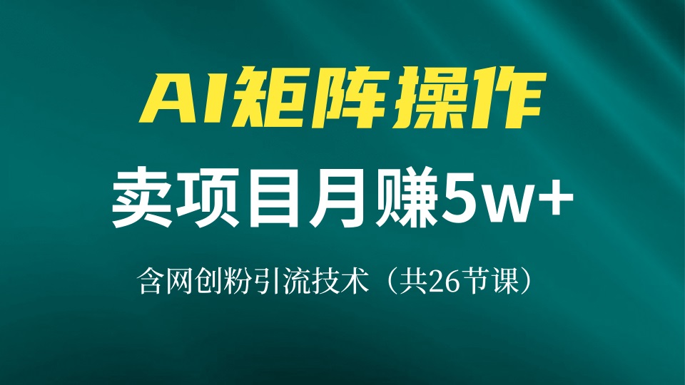 网创IP打造课，借助AI卖项目月赚5万+，含引流技术(共26节课-星火轻创