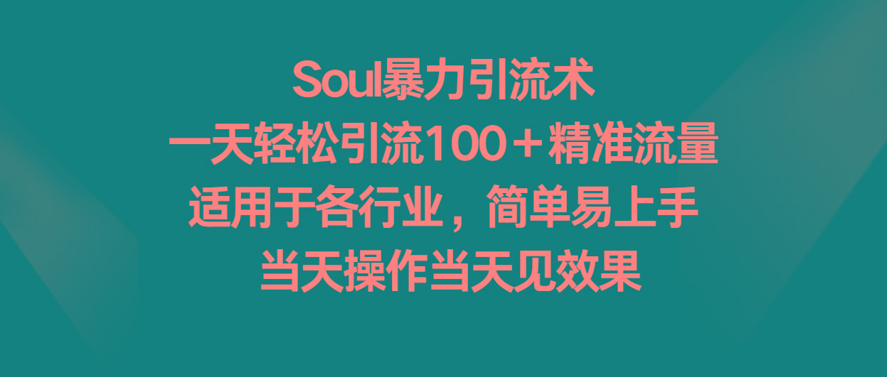 Soul暴力引流术，一天轻松引流100＋精准流量，适用于各行业，简单易上手！-星火轻创