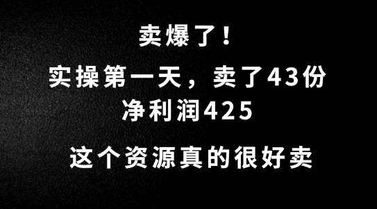 这个资源，需求很大，实操第一天卖了43份，净利润425【揭秘】-星火轻创