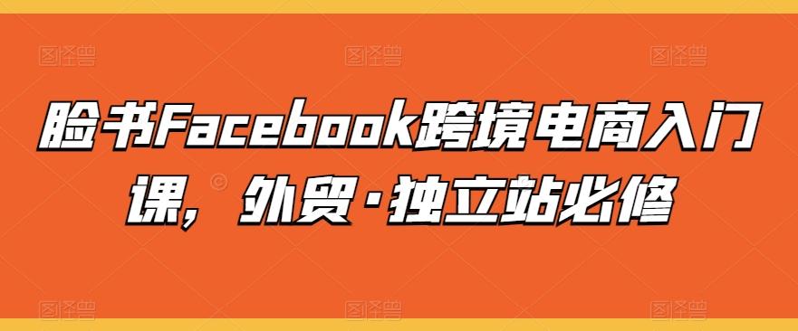脸书Facebook跨境电商入门课，外贸·独立站必修-星火轻创