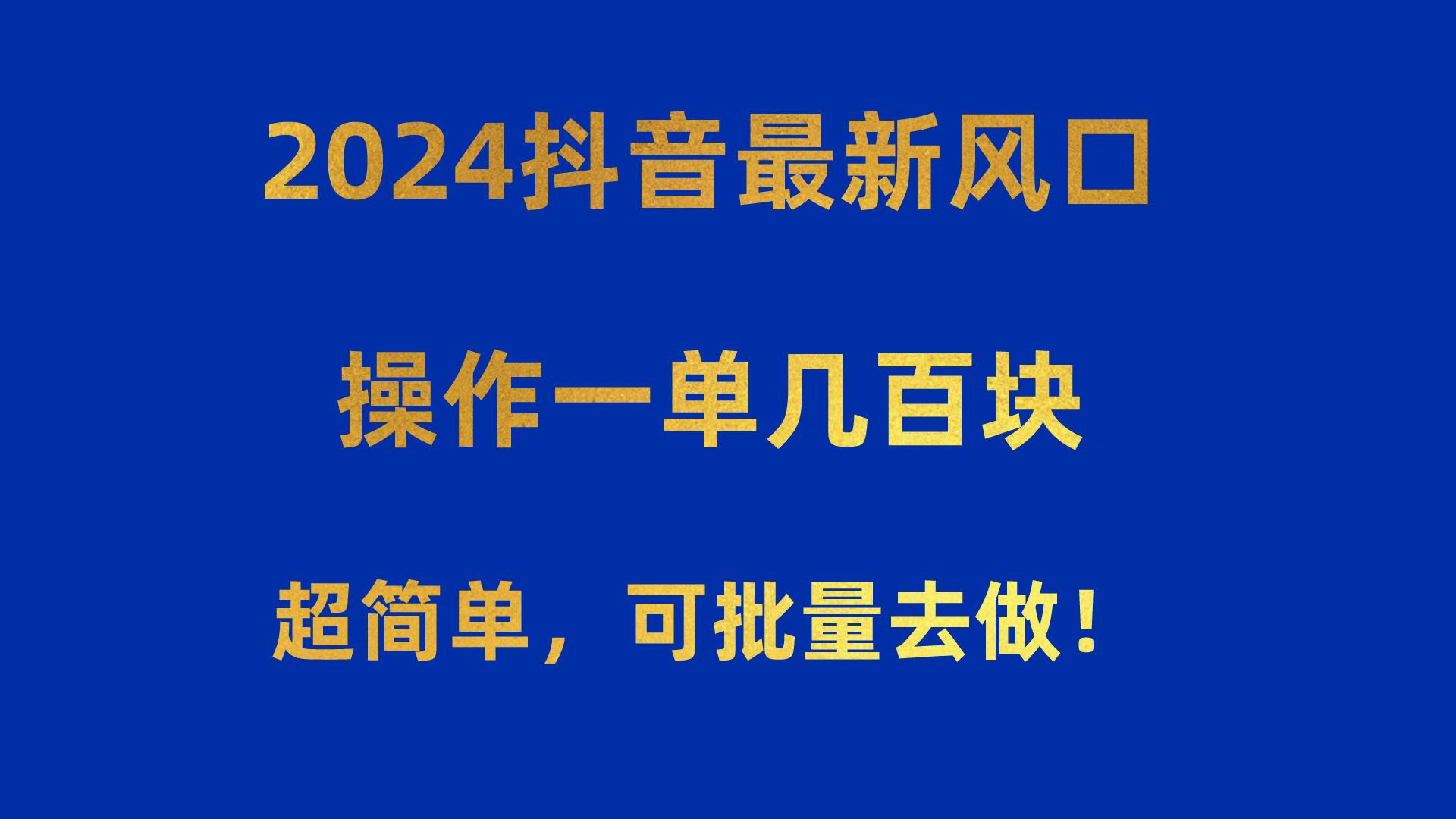 2024抖音最新风口！操作一单几百块！超简单，可批量去做！！！-星火轻创
