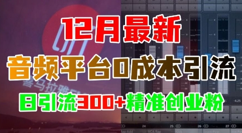 12月最新：音频平台0成本引流，日引流300+精准创业粉-星火轻创