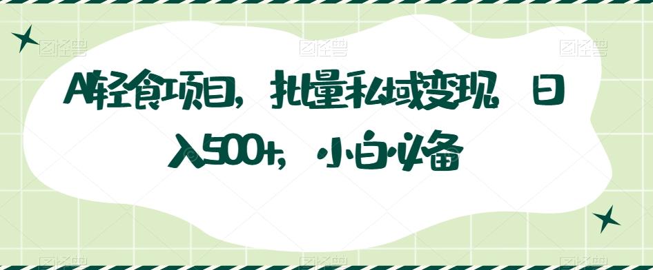 AI轻食项目，批量私域变现，日入500+，小白必备-星火轻创