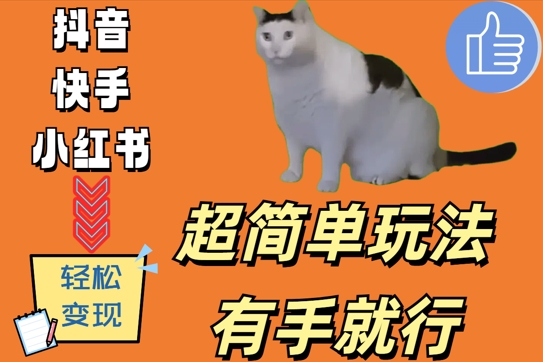 超简单玩法，有手就行，靠猫咪视频日入500+【揭秘】-星火轻创