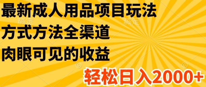 最新成人用品项目玩法，方式方法全渠道，轻松日入2K+【揭秘】-星火轻创
