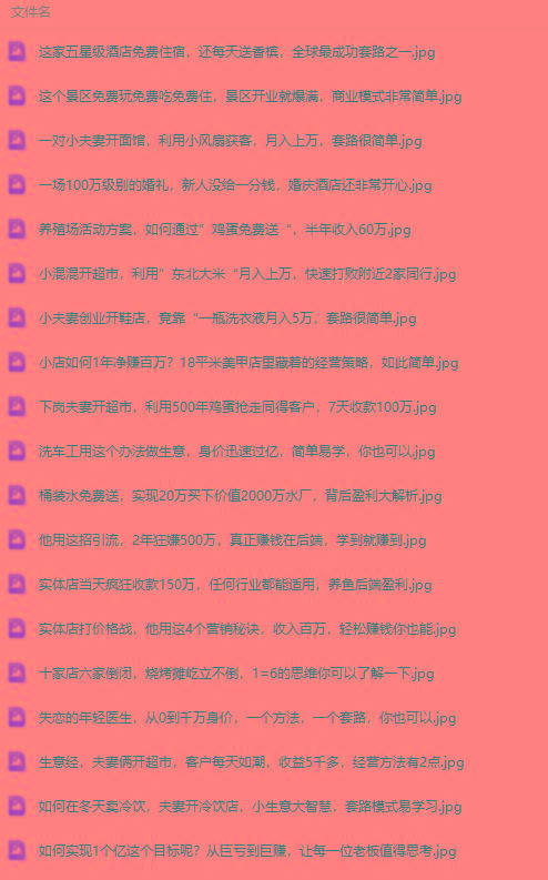 图片[2]-(9607期)真实有效391套商业模式，年入几十到几百万案例解析(电子书+视频+图文)-星火轻创