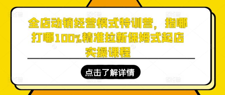 全店动销经营模式特训营，指哪打哪100%精准拉新保姆式起店实操课程-星火轻创