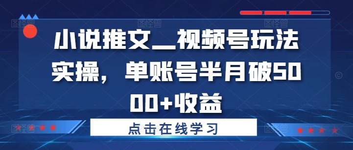 小说推文—视频号玩法实操，单账号半月破5000+收益-星火轻创