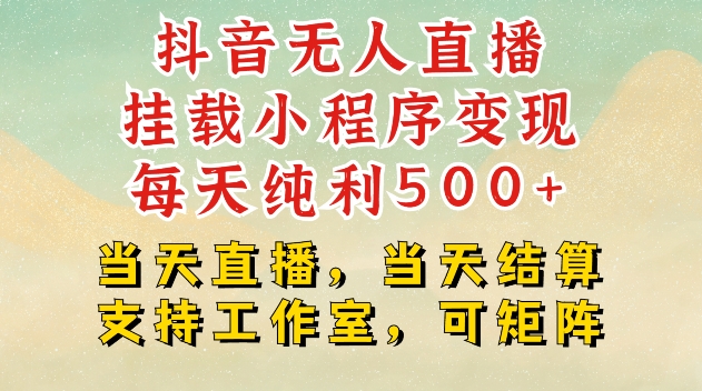 抖音无人直播挂载小程序变现每天纯利500+当天直播，当天结算支持工作室，可矩阵【揭秘】-星火轻创