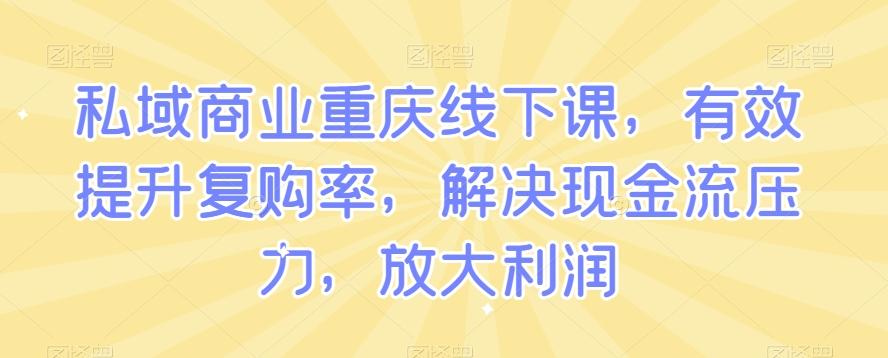 私域商业重庆线下课，有效提升复购率，解决现金流压力，放大利润-星火轻创