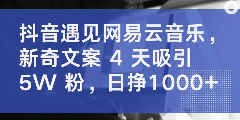 抖音遇见网易云音乐，新奇文案 4 天吸引 5W 粉，日挣1000+【揭秘】-星火轻创