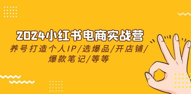 2024小红书电商实战营，养号打造IP/选爆品/开店铺/爆款笔记/等等(24节)-星火轻创