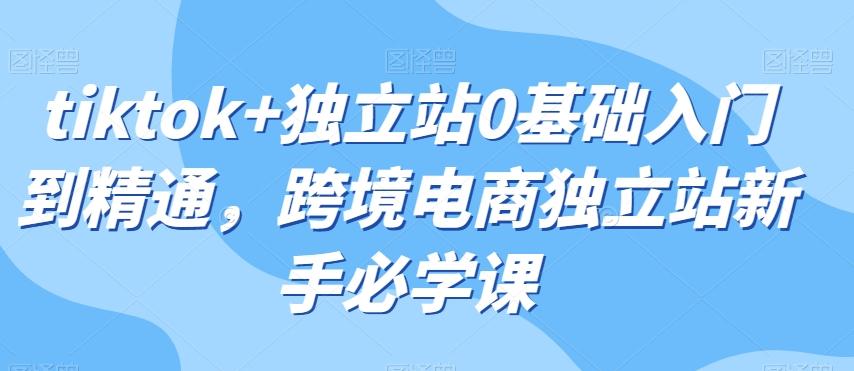tiktok+独立站0基础入门到精通，跨境电商独立站新手必学课-星火轻创