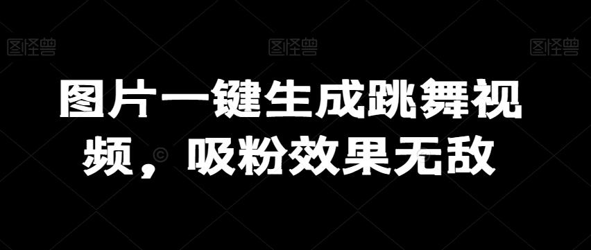 图片一键生成跳舞视频，吸粉效果无敌-星火轻创