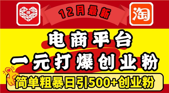 12月最新：电商平台1元打爆创业粉，简单粗暴日引500+精准创业粉，轻松月入过W【揭秘】-星火轻创