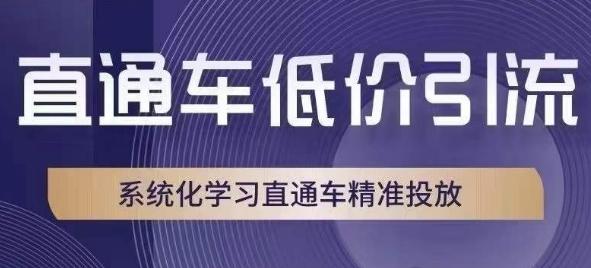 直通车低价引流课，系统化学习直通车精准投放-星火轻创
