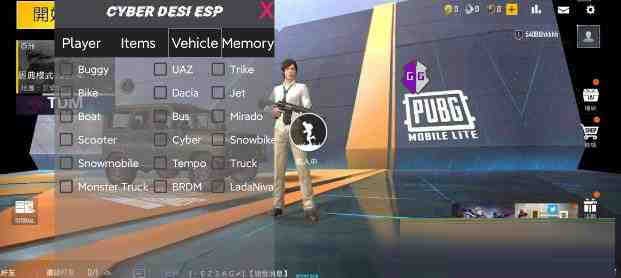 PUBG轻量老外裸奔绘制+自瞄 支持ROOT和框架 里面有全局离线-星火轻创
