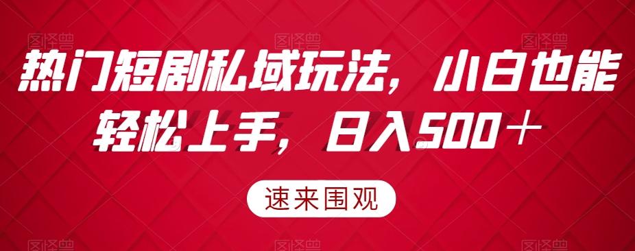 热门短剧私域玩法，小白也能轻松上手，日入500＋-星火轻创