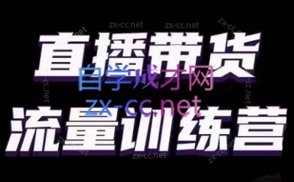 婉婉·直播带货课程系列合集(更新8月)-星火轻创