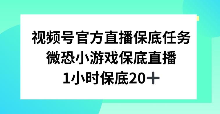 视频号直播任务，微恐小游戏，1小时20+【揭秘】-星火轻创