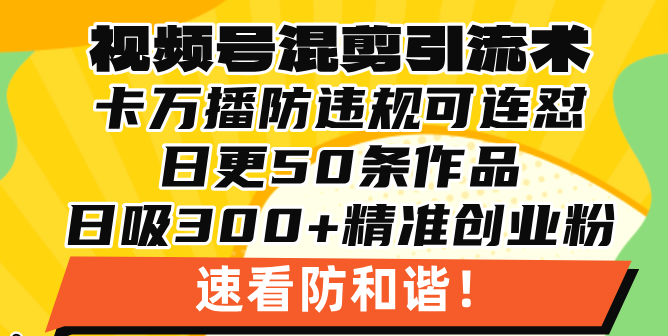 视频号混剪引流技术，500万播放引流17000创业粉，操作简单当天学会-星火轻创