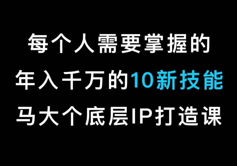 马大个的IP底层逻辑课，​每个人需要掌握的年入千万的10新技能，约会底层IP打造方法！-星火轻创