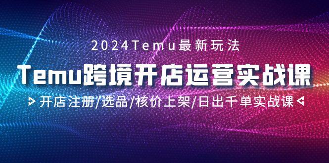 2024Temu跨境开店运营实战课，开店注册/选品/核价上架/日出千单实战课-星火轻创