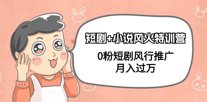(9374期)短剧+小说风火特训营，0粉短剧风行推广，月入过万(102节课)-星火轻创