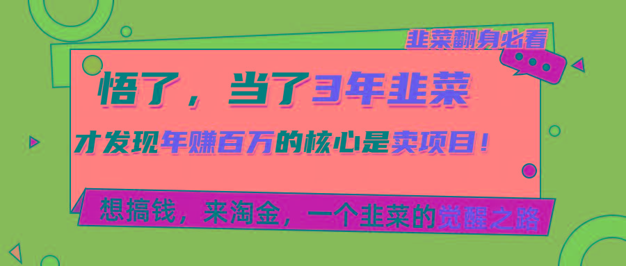 悟了，当了3年韭菜，才发现网赚圈年赚100万的核心是卖项目，含泪分享！-星火轻创