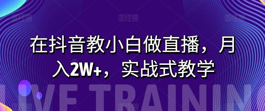 在抖音教小白做直播，月入2W+，实战式教学【揭秘】-星火轻创
