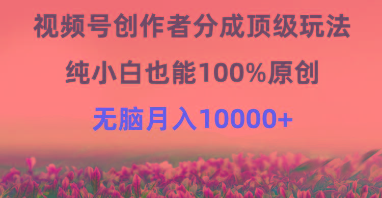 (9608期)视频号创作者分成顶级玩法，纯小白也能100%原创，无脑月入10000+-星火轻创