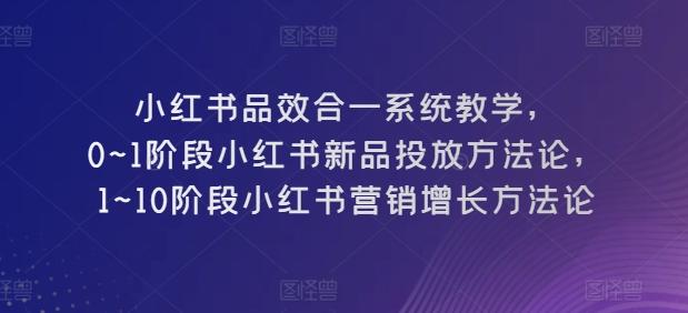 小红书品效合一系统教学，​0~1阶段小红书新品投放方法论，​1~10阶段小红书营销增长方法论-星火轻创