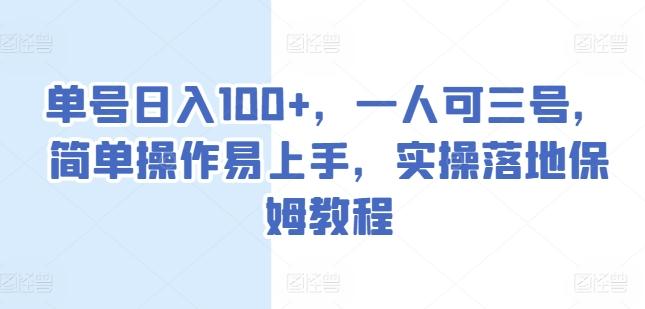 单号日入100+，一人可三号，简单操作易上手，实操落地保姆教程【揭秘】-星火轻创