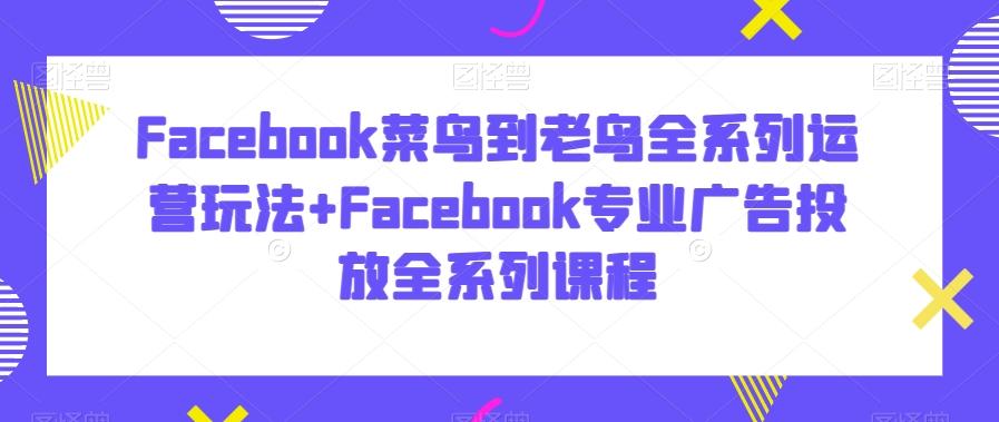 Facebook菜鸟到老鸟全系列运营玩法+Facebook专业广告投放全系列课程-星火轻创