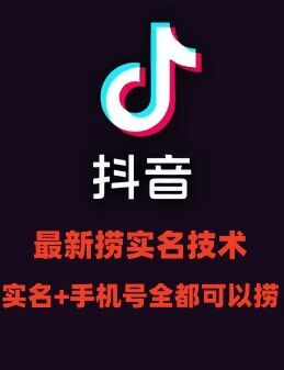 最新技术抖音捞实名+捞手机号技术，抖音直播封禁释放十名/手机号，直接替换出来!-星火轻创