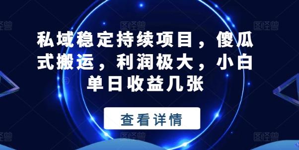 私域稳定持续项目，傻瓜式搬运，利润极大，小白单日收益几张【揭秘】-星火轻创