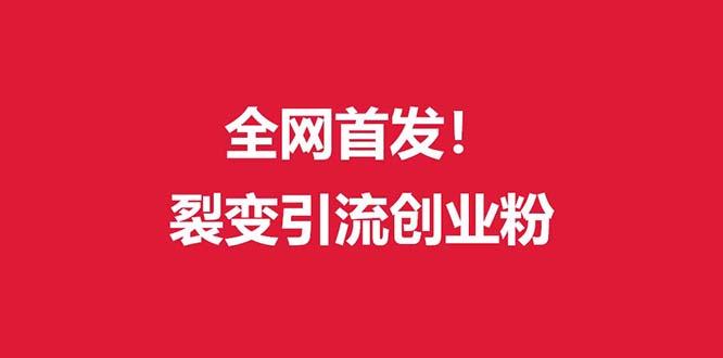 (全网首发)外面收费几千的裂变引流高质量创业粉-星火轻创