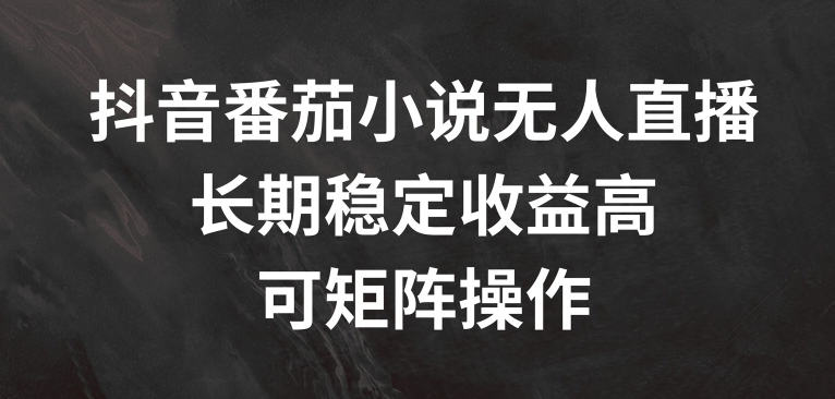 抖音番茄小说无人直播，长期稳定收益高，可矩阵操作【揭秘】-星火轻创