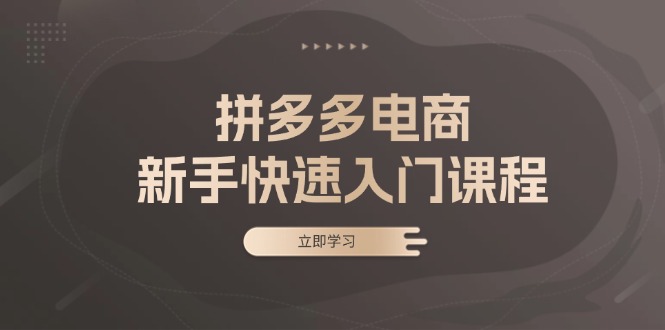 拼多多电商新手快速入门课程：涵盖基础、实战与选款，助力小白轻松上手-星火轻创