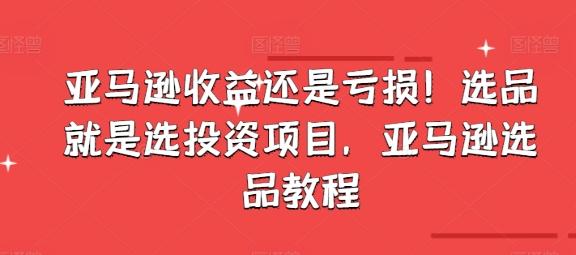 亚马逊收益还是亏损!选品就是选投资项目,亚马逊选品教程