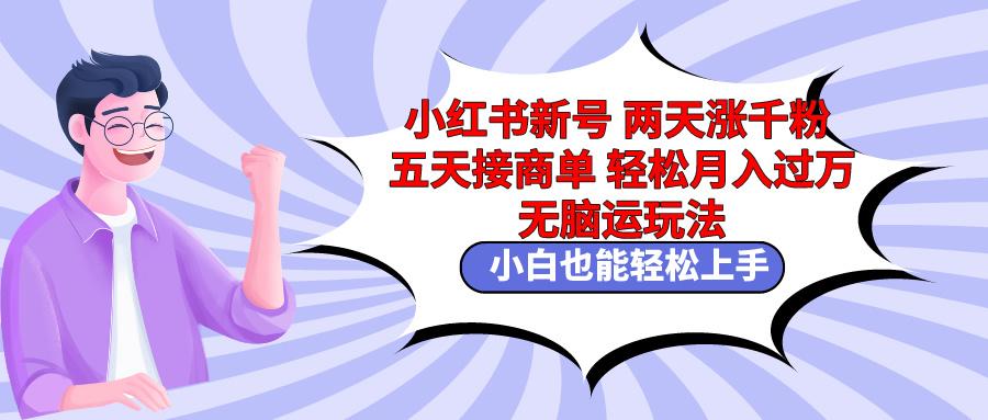 小红书新号两天涨千粉五天接商单轻松月入过万 无脑搬运玩法 小白也能轻…-星火轻创