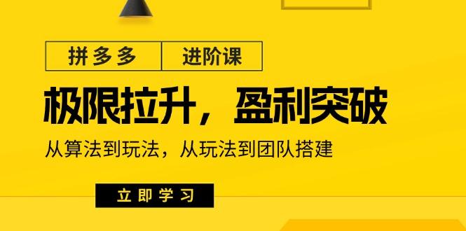 拼多多·进阶课：极限拉升/盈利突破：从算法到玩法 从玩法到团队搭建-18节-星火轻创