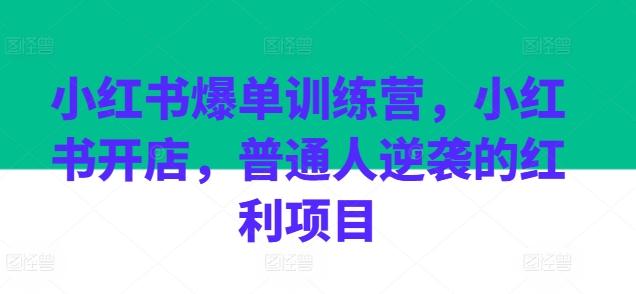 小红书爆单训练营，小红书开店，普通人逆袭的红利项目-星火轻创