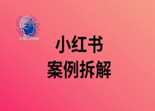 小红书案例拆解，深度解读小红书40万粉-星火轻创